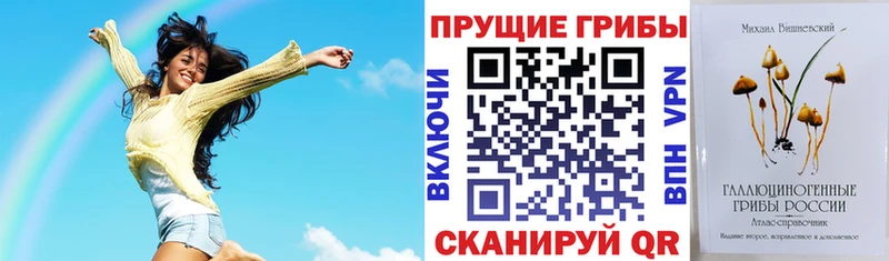 Псилоцибиновые грибы мицелий  что такое   Демидов 